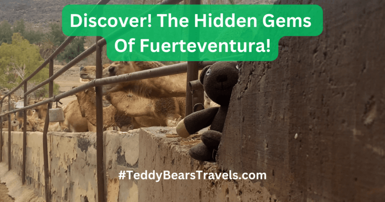 Discover The Hidden Gems Of Fuerteventura:  Must-See Attractions