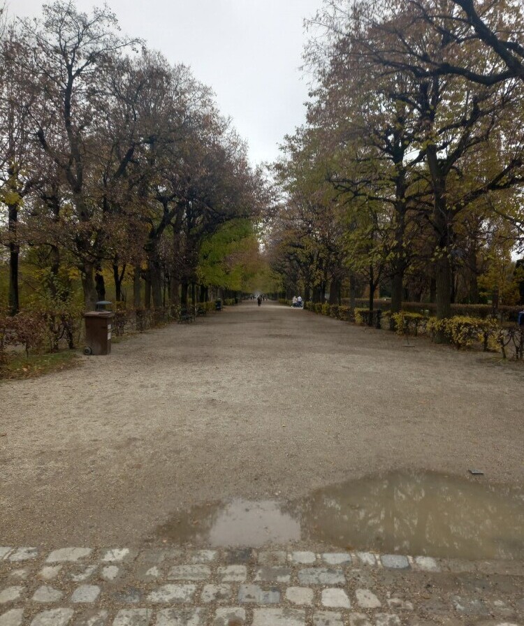 Schonnbrun Gardens Austria