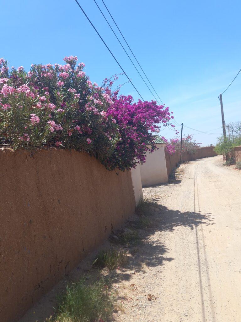 going for a long walk through the outskirts of Marrakech