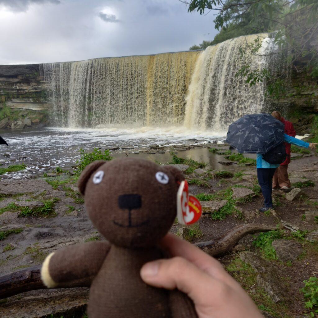 Teddy standing in front of Jagala Waterfall in Tallinn Estonia
