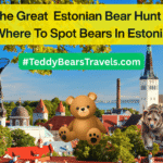 The Great Estonian Bear Hunt Blog Post Main Picture