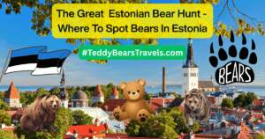 The Great Estonian Bear Hunt Blog Post Main Picture