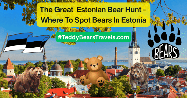 The Great Estonian Bear Hunt Blog Post Main Picture