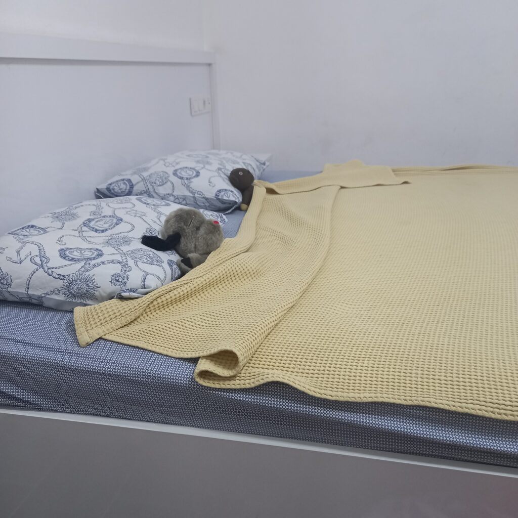 Teddy and Sweep sleeping in their bed at the Aroma Butik hotel in Mangavat Turkey