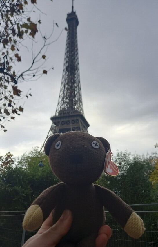 Teddy visiting the Eifel Tower in Paris France 2024
