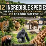 12 Incredible Species On The Prague Zoo Animal List To Look Out For